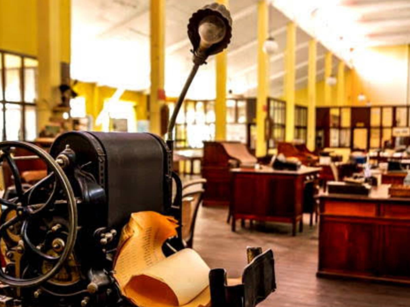 Actividades en Río Negro por Museos en la Noche