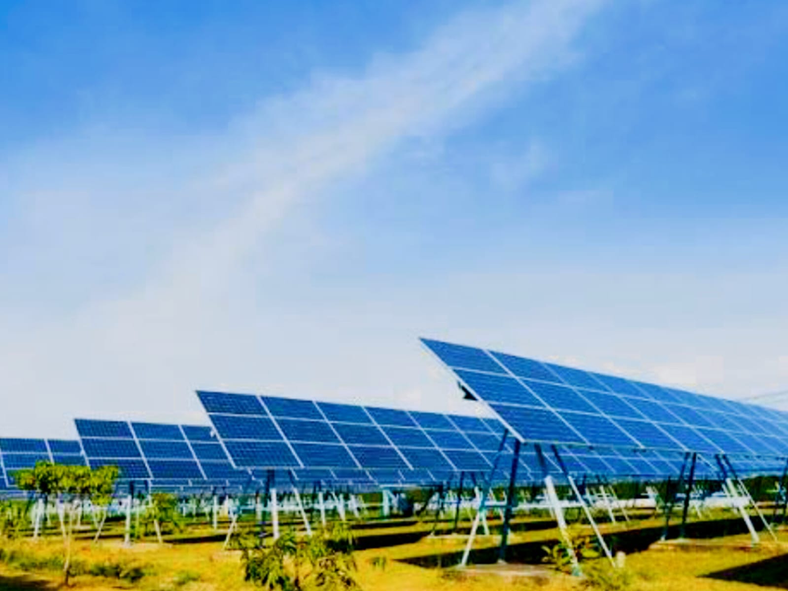 Planta solar de UTE se construirá en Río Negro