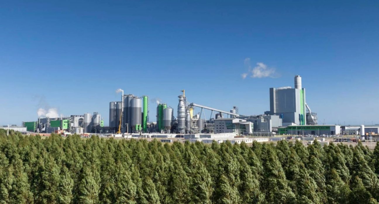 La planta de UPM Paso de los Toros cumple tres años de operación y continúa consolidando su desempeño ambiental