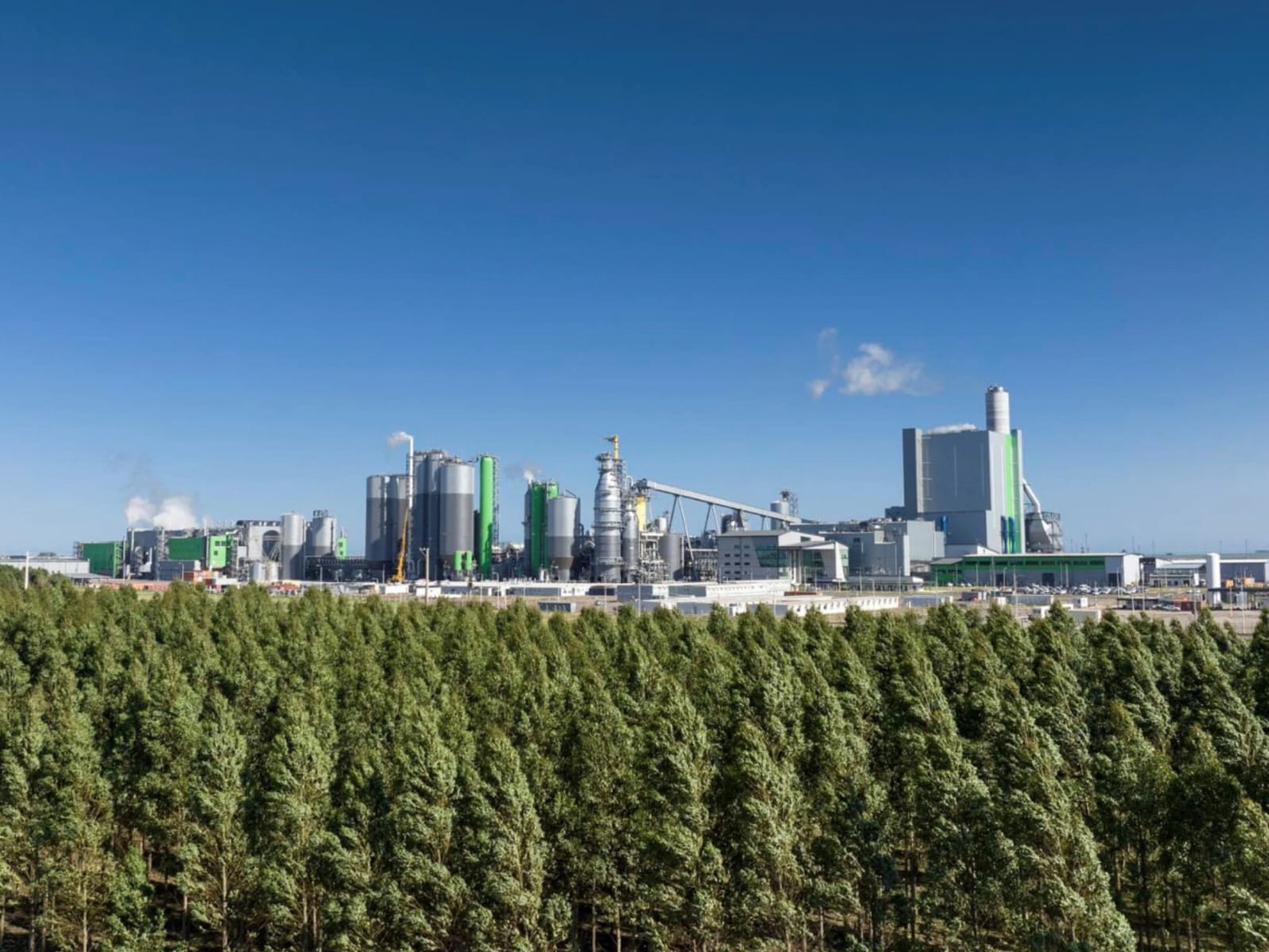 La planta de UPM Paso de los Toros cumple tres años de operación y continúa consolidando su desempeño ambiental