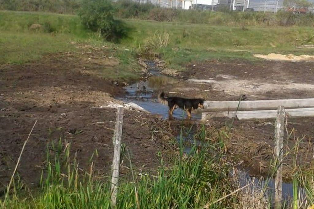Vecinos de Guichón denunciaron ante la INDDHH contaminación del arroyo Santana