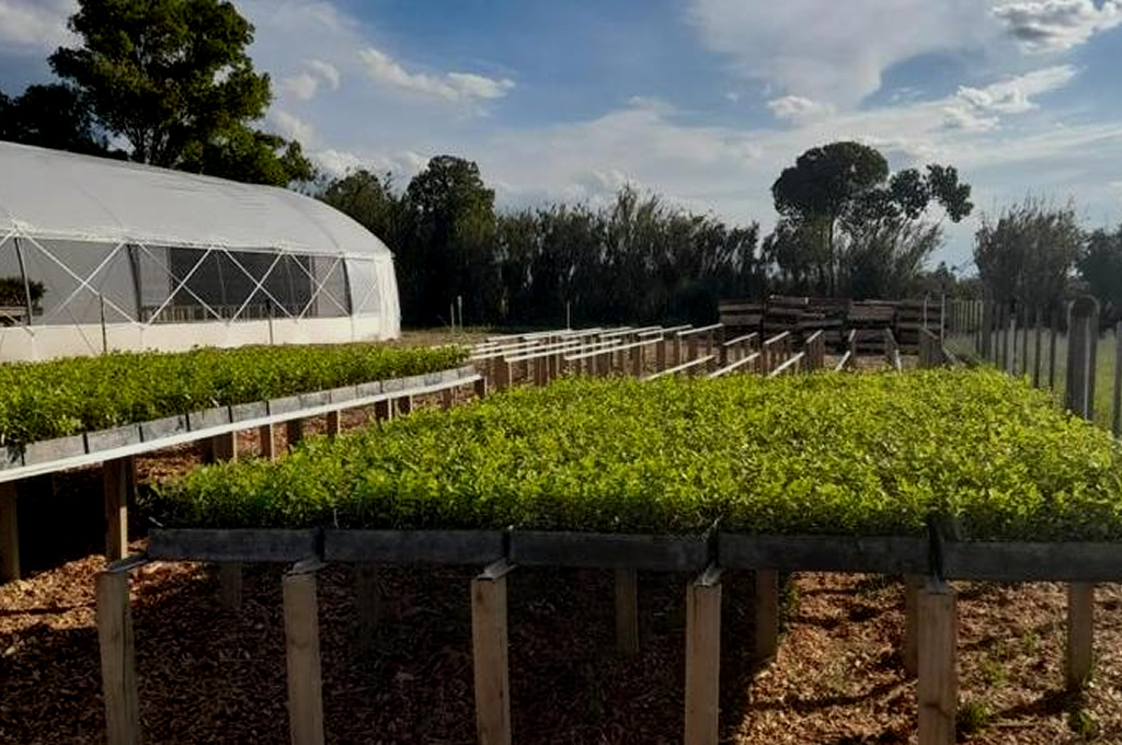 Cursos UTU y UPM Forestal Oriental para capacitación en vivero forestal en Sarandí del Yí