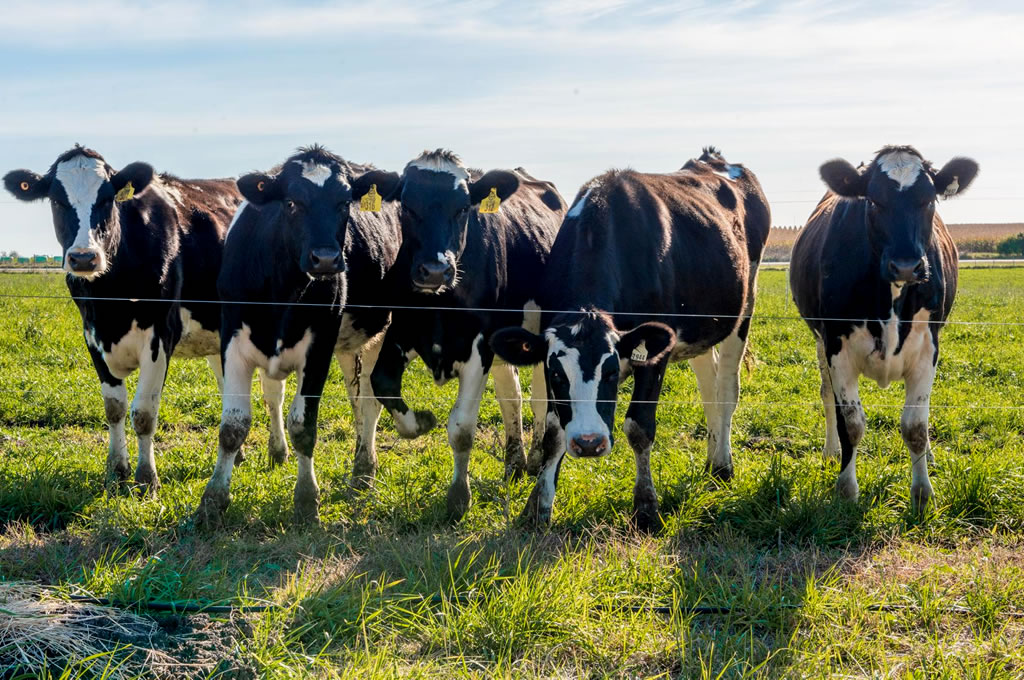 Inacoop postergará vencimientos para cooperativas agrarias ante emergencia hídrica