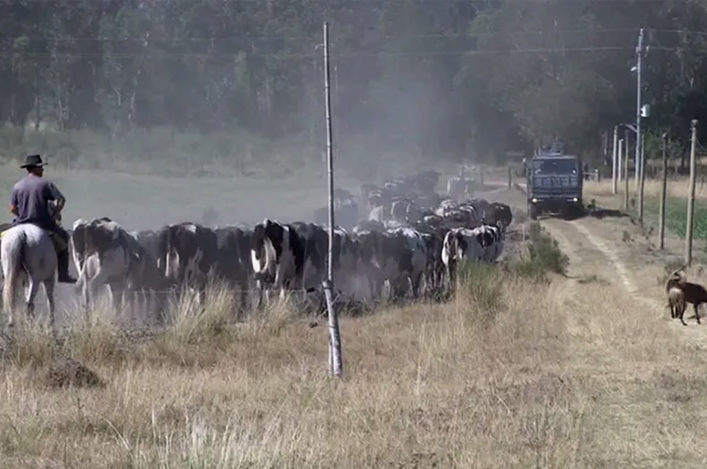 Las 13 medidas aprobadas por MGAP para productores afectados por la sequía