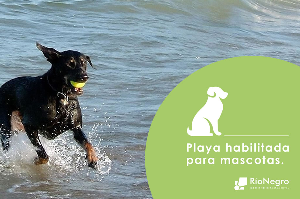 Playa "El Naranjo" es la única habilitada para mascotas en el balneario Las Cañas