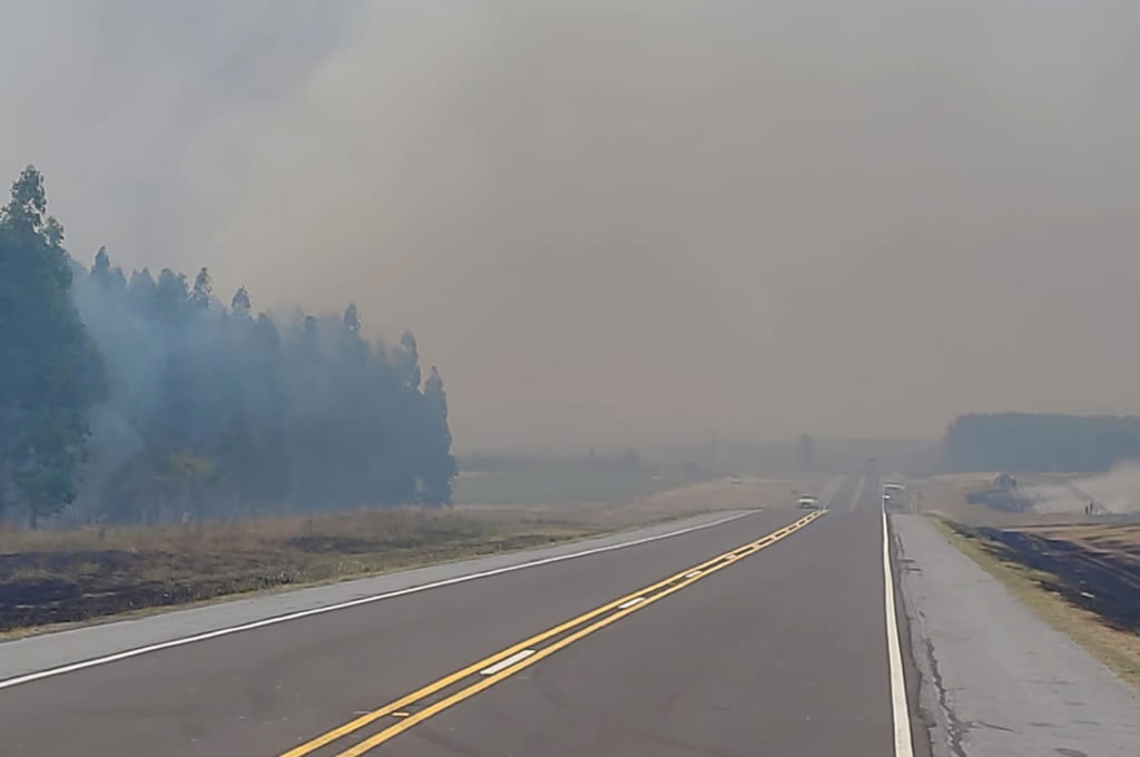 Incendio en plantaciones forestales de Montes del Plata