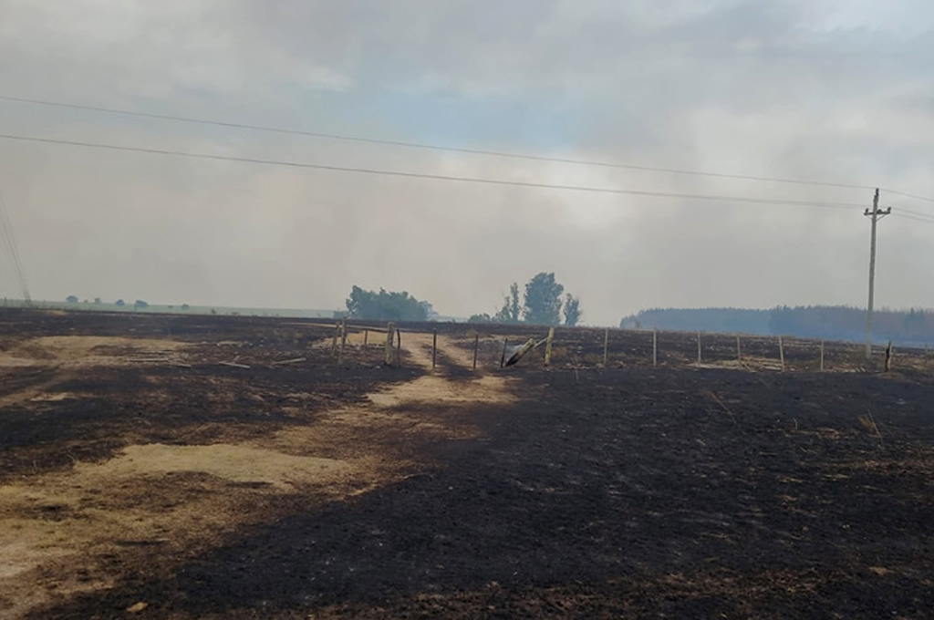 Incendio forestal en Río Negro fue controlado pero consumió 2.400 hectáreas