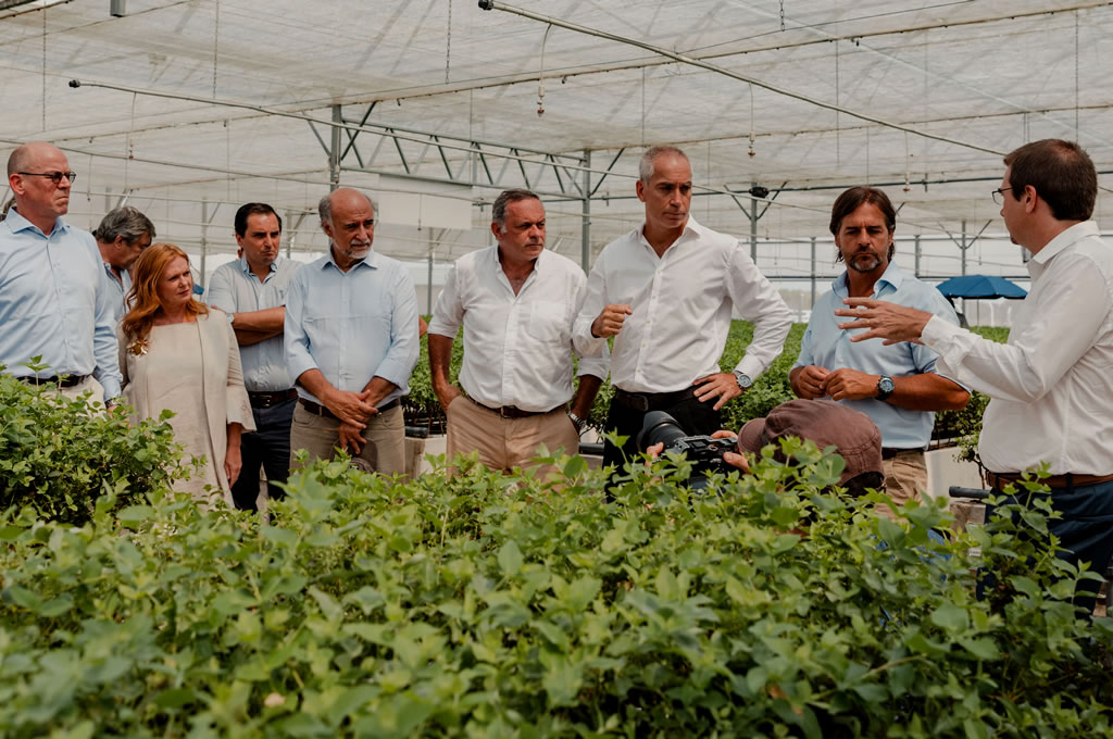 UPM inaugura vivero forestal de última tecnología en Sarandí del Yí