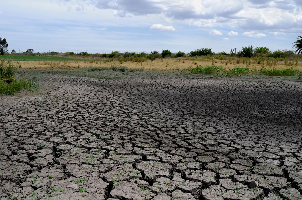 Mevir bonificará hasta el 50% de la cuota a productores afectados por la sequía