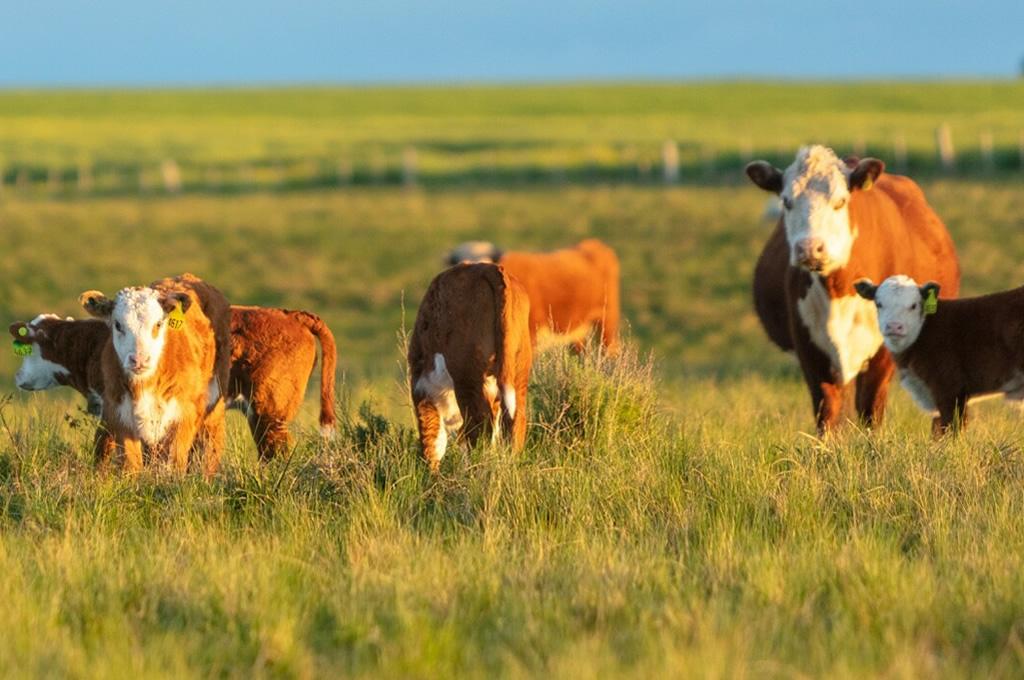 MGAP destinará 50 millones de pesos a productores rurales de todo el país