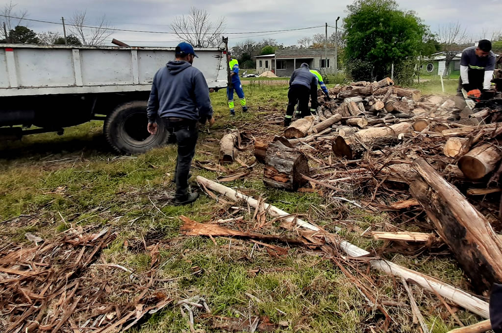 UPM donó 20.000 kilos de leña a la Comisión Especial de Algorta