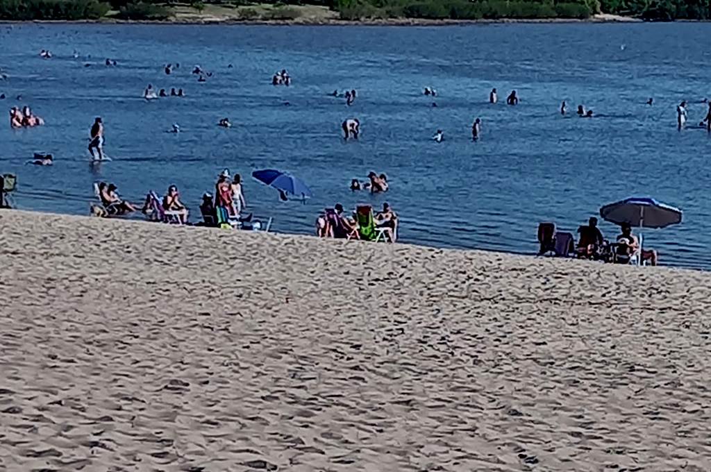 Se realizará el Festival “Las Cañas en Vivo” los días 23 y 24 de enero