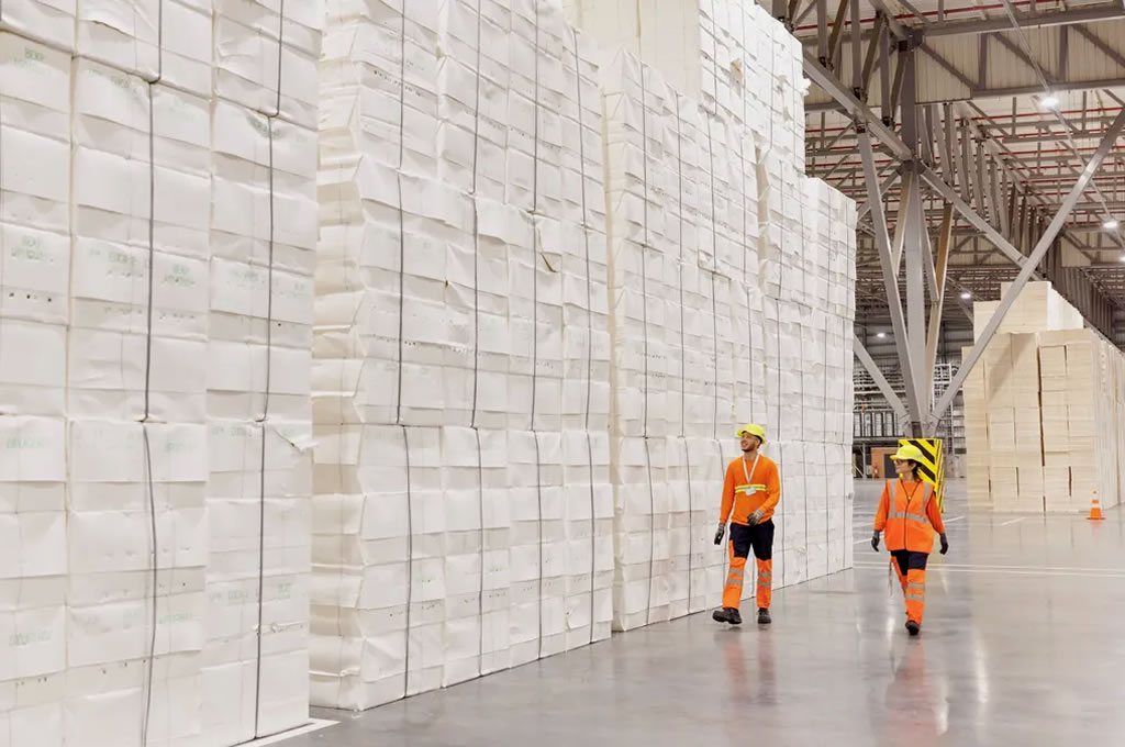 Se espera que las exportaciones de Uruguay crezcan un 14% en 2024 gracias al agro y UPM 2