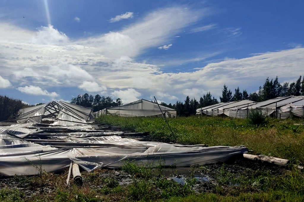El Intendente Omar Lafluf declaró la alerta departamental como consecuencia del temporal